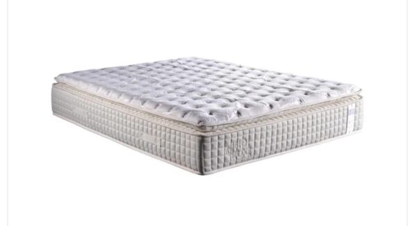 WhatsApp Image 2026-02-25 at 13.04.39 (1)